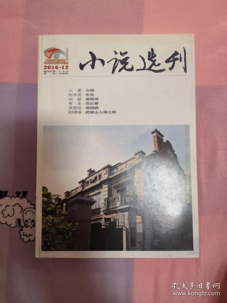 小说选刊