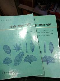 【2本一套合售】植物學(xué) 第二版 上下冊(cè) 【上冊(cè) 陸時(shí)萬(wàn)、徐祥生、沈敏健 編著 】【下冊(cè) 吳國(guó)芳 馮志堅(jiān) 馬緯梁 周秀佳等編著 】高等教育出版社