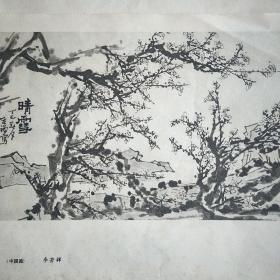 油画，中国画，红色宣传画【晴雪】李苦禅《心心相连》高潮，双面画。