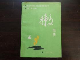 嫩草集 雜文集