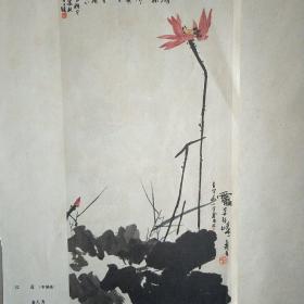 版画，年画，中国画红色宣传画【红莲】潘天寿《公社盛开大庆花》年画双面画。