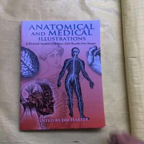 ANATOMICAL AND MEDICAL ILLUSTRATIONS