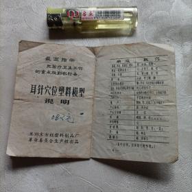 耳针穴位塑料模型说明