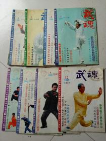 武魂杂志(1995年1,5,6,7,8,12)6本