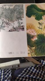 画页（散页印刷品）---国画--芦荡春意【徐纤】、荷塘清趣【陈贞馥】533