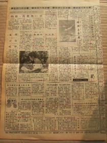 山东人口报 1991年3月18日 第391期 第1-4版 原版裁边老报纸 行之有效的制度-计划生育一票否决权 张店人树立新型婚育观掠影 梦疗 减少烹饪营养损失的方法 电视迷综合征 地瓜的药用 康熙下旨戒烟