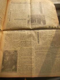 法制日报 1992年2月17日 第2385期 第1-4版 原版裁边老报纸 城乡结合部见闻之一-流动带来新热点 南漳县村民议事会疏通民主渠道 对地方立法规划若干问题的探讨 浅谈教育法律的法律责任问题 简论行政强制执行措施的可诉性 日本在职妇女遭受性骚扰比例高达百分之七十以上 亚非女童苦难深重