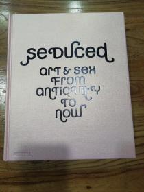 Seduced-art&sex from antiquity to now