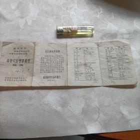 耳针穴位塑料模型说明