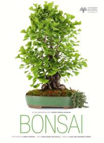 Bonsai