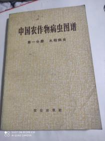 中国农作物病虫图谱第一分册水稻病虫(有语录)