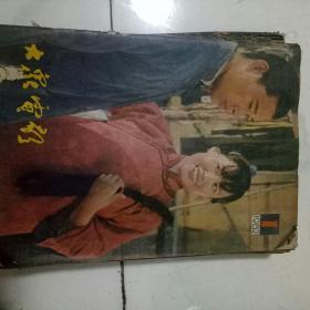 大众电影1982（1-12期）