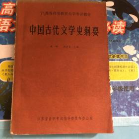 中国古代文学史纲要 ：高等教育自学考试教材