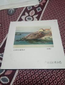 黑龙江著名画家陈肇鸿色彩写生照片一张《伸向海底》