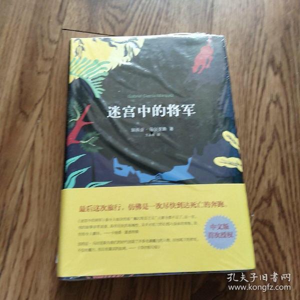 迷宫中的将军