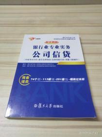 新大纲版银行从业银行业专业实务公司信贷/银行业专业人员初级职业资格考试辅导用书