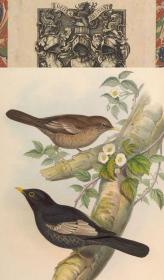 【复印件】亚洲鸟类版画.Birds of Asia.7卷.By John Gould.英文本.1850至1883年出版本 手工装订