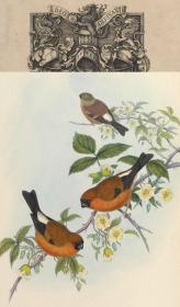 【复印件】亚洲鸟类版画.Birds of Asia.7卷.By John Gould.英文本.1850至1883年出版本 手工装订