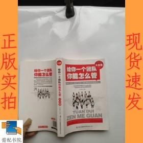 给你一个团队你能怎么管大全集