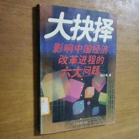 大抉择：影响中国经济改革进程的六大问题