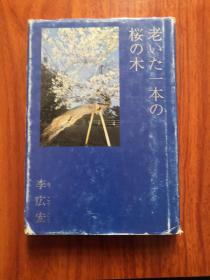 老いた一本の桜の木（一棵老樱花树）