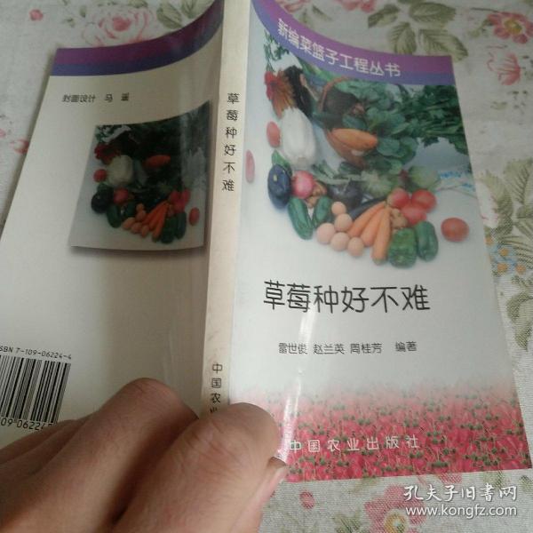 草莓种好不难——新编菜篮子工程丛书