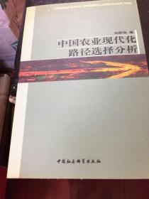 中国农业现代化路径选择分析