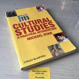 Cultural studies a practical introduction introducing cultural studies 文化研究导论 英文原版