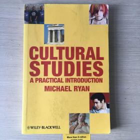 Cultural studies a practical introduction introducing cultural studies 文化研究导论 英文原版