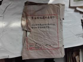 东阳公社革命委员会关于1970年东阳公社被清对象登记册重要线索调查（一厚册）