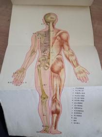 指针疗法
