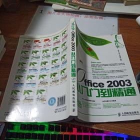 外行学Office 2003从入门到精通    书脊书角磨损   扉页有字   平装