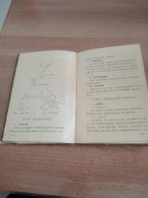 指针疗法