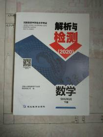 河南省初中学业水平考试:解析与检测2020 数学 下册