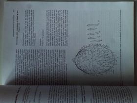 International Journal of Acarology 10/2014 国际蜱虫学学术期刊