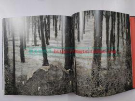 英文原版 Anselm Kiefer 安塞尔姆基弗 大厅收藏的作品