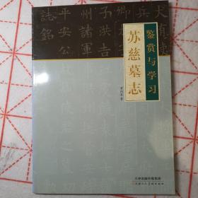 苏慈墓志：鉴赏与学习