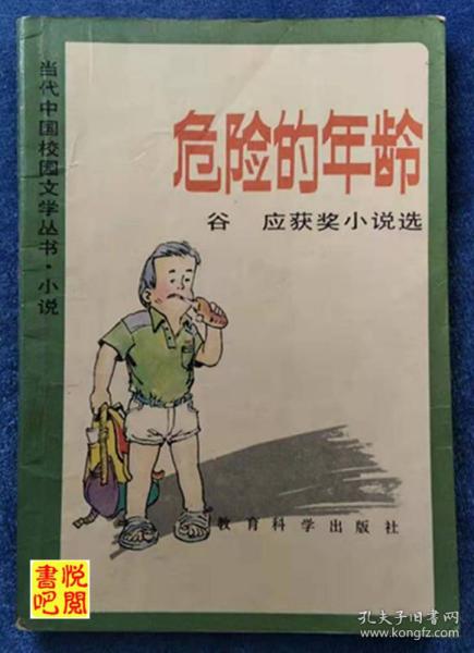 J30  《危险的年龄》（当代中国校园文学丛书）