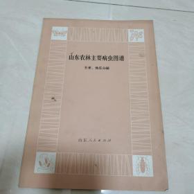 山东农林主要病虫图谱（玉米、地瓜分册）