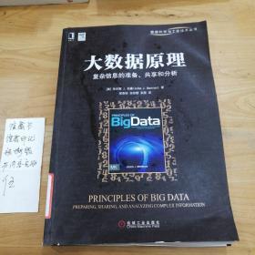 大数据原理：复杂信息的准备、共享和分析
