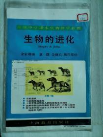 高级中学课本生物教学挂图-生物的进化 全套5张