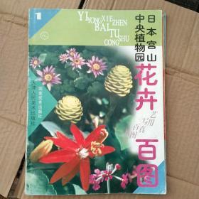 日本宫山中央植物园花卉百图  1