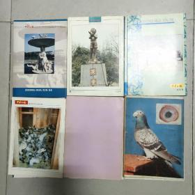 中华信鸽（1985--1992年第1--30期缺第8期、1994年第37--48期）共计34本、1991年23--26期合订本、其它单行本