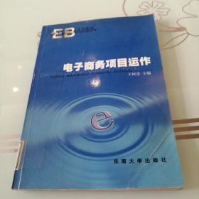 电子商务系列教材·普通高等教育十一五国家级规划教材：电子商务项目运作