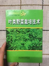 叶类野菜栽培技术