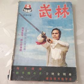 武林1985年第8期