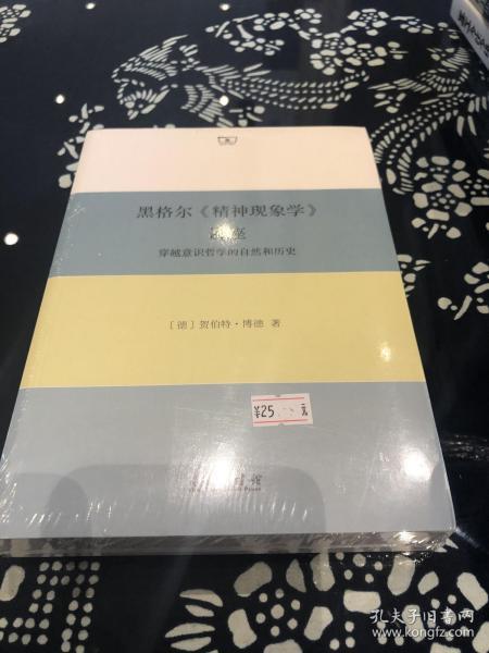 黑格尔《精神现象学》讲座：穿越意识哲学的自然和历史