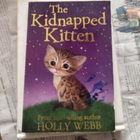 the kidnapped kitten