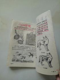 80年代老课本【小学·自然·第一册】（使用本,有笔迹等,品相不一见图自鉴)