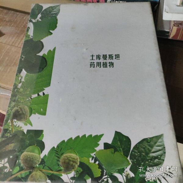 土库曼斯坦药用植物。